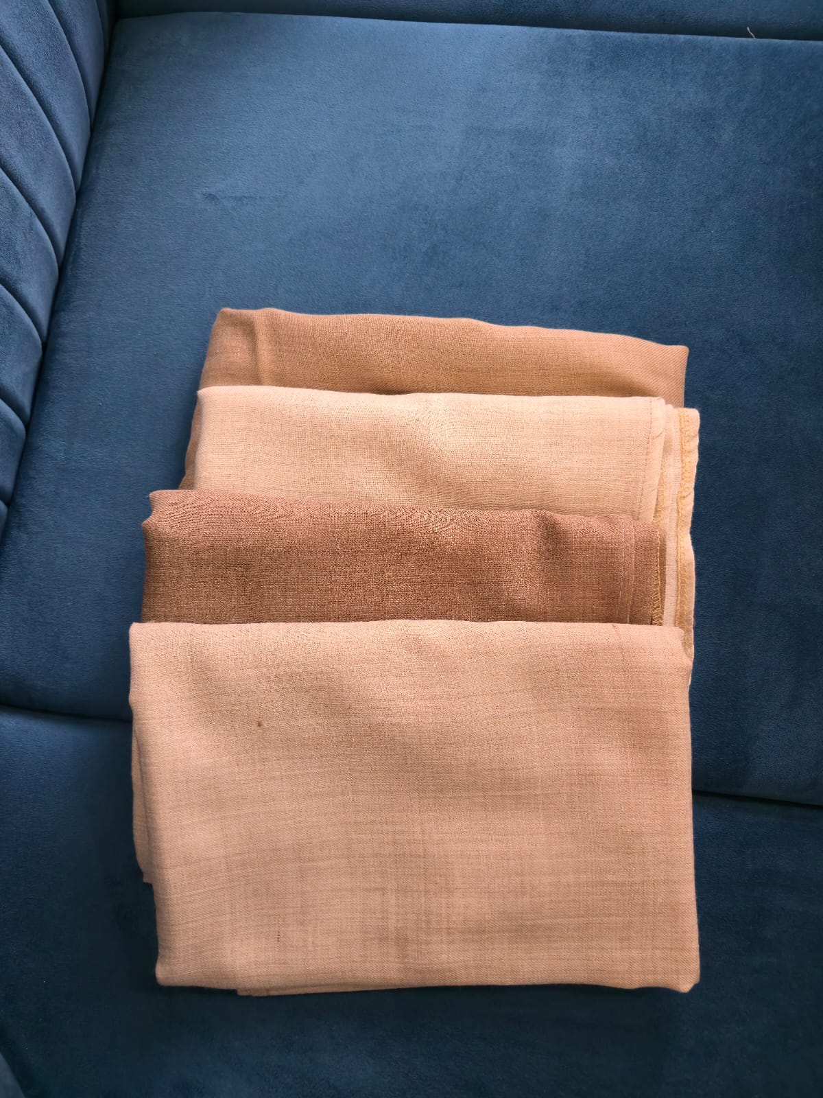 Pashmina Shawl PS004